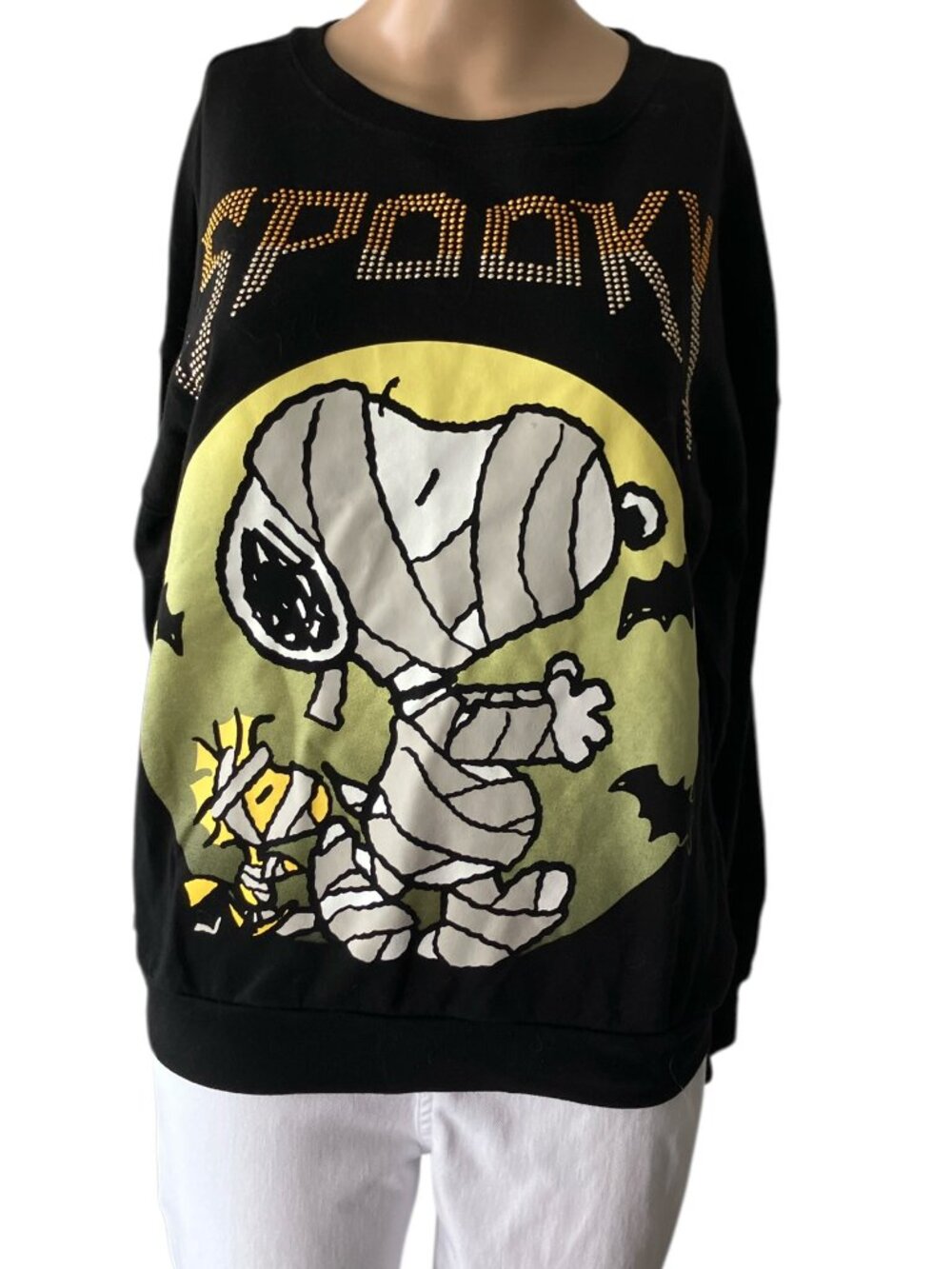 Peanuts Spooky Snoopy & Woodstock Funny Sweatshirt